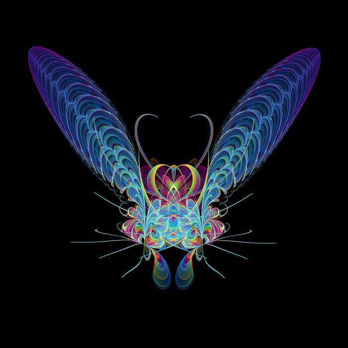 Insect Art Made With Fractals (12 Pics)