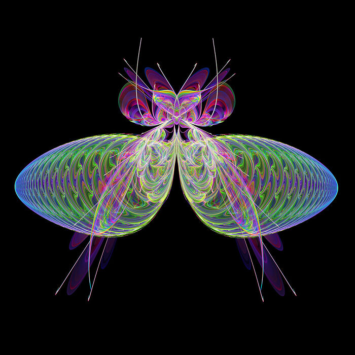 Insect Art Made With Fractals (12 Pics)