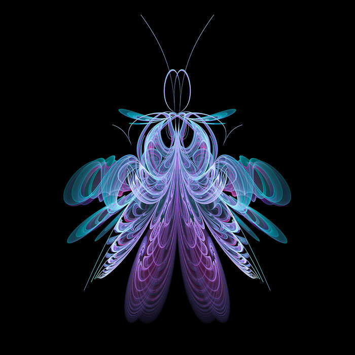 Insect Art Made With Fractals (12 Pics)