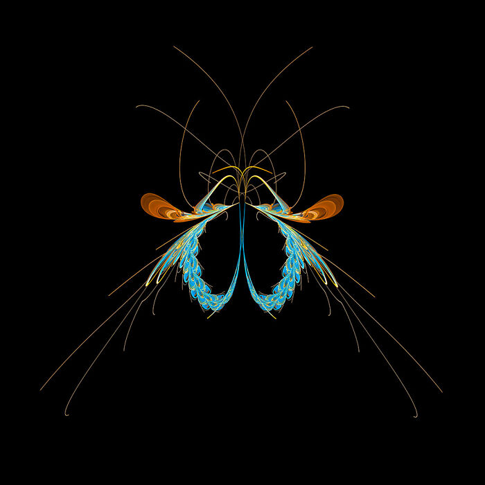 Insect Art Made With Fractals (12 Pics)