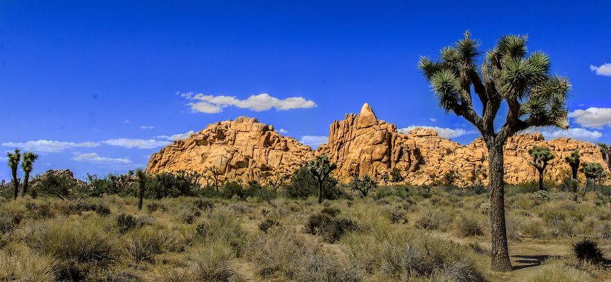 Joshue Tree, Better Than You Think. U2... Should Have Had Color