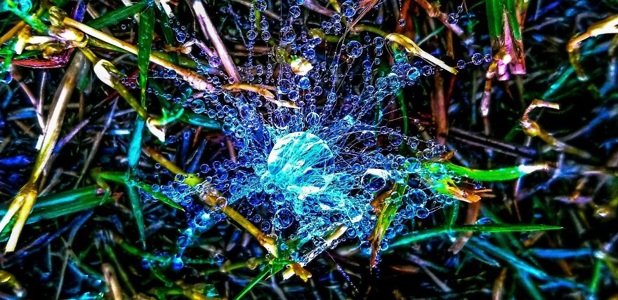 Randomness In Scottsdale Az