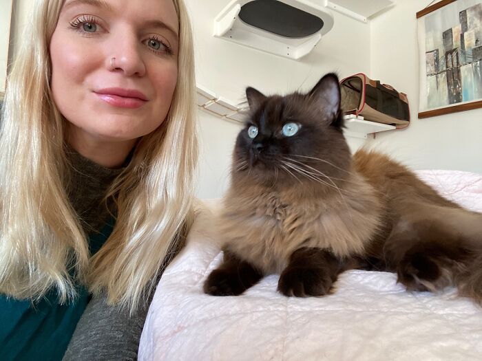 Woman Saves Almost $30K By Taking Care Of People's Cats While Traveling Woman Saves Almost $30K By Taking Care Of People's Cats While Traveling