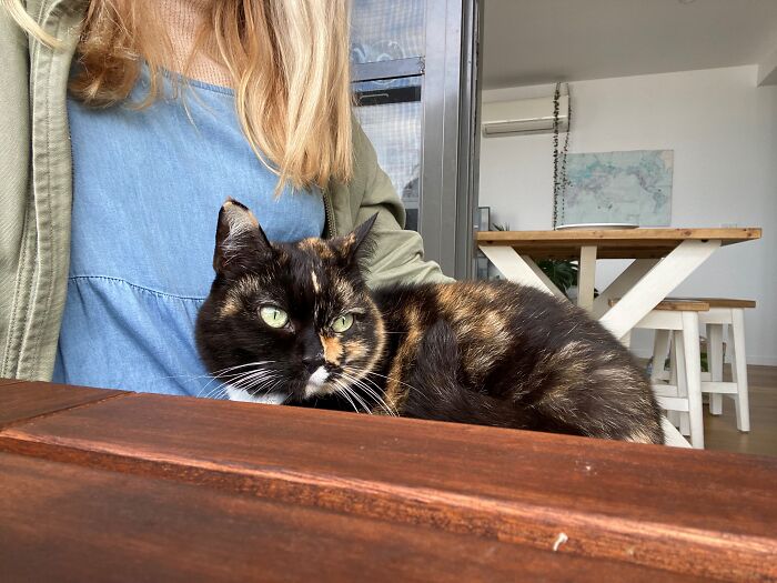 Woman Saves Almost $30K By Taking Care Of People's Cats While Traveling Woman Saves Almost $30K By Taking Care Of People's Cats While Traveling