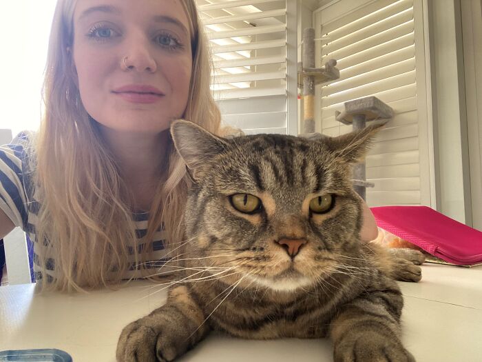 Woman Saves Almost $30K By Taking Care Of People's Cats While Traveling Woman Saves Almost $30K By Taking Care Of People's Cats While Traveling