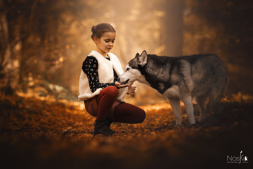 My Dog ​​changed My Life…