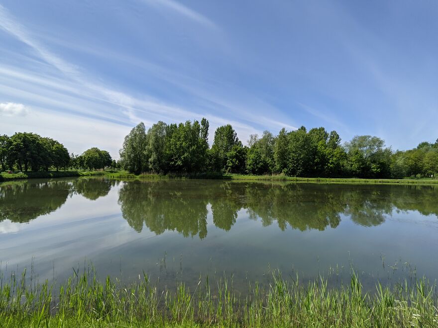 Lake Next To The Park