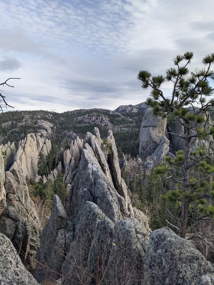 The Black Hills Of South Dakota! I Haven't Been To Many Places, But This Is Probably The Coolest.