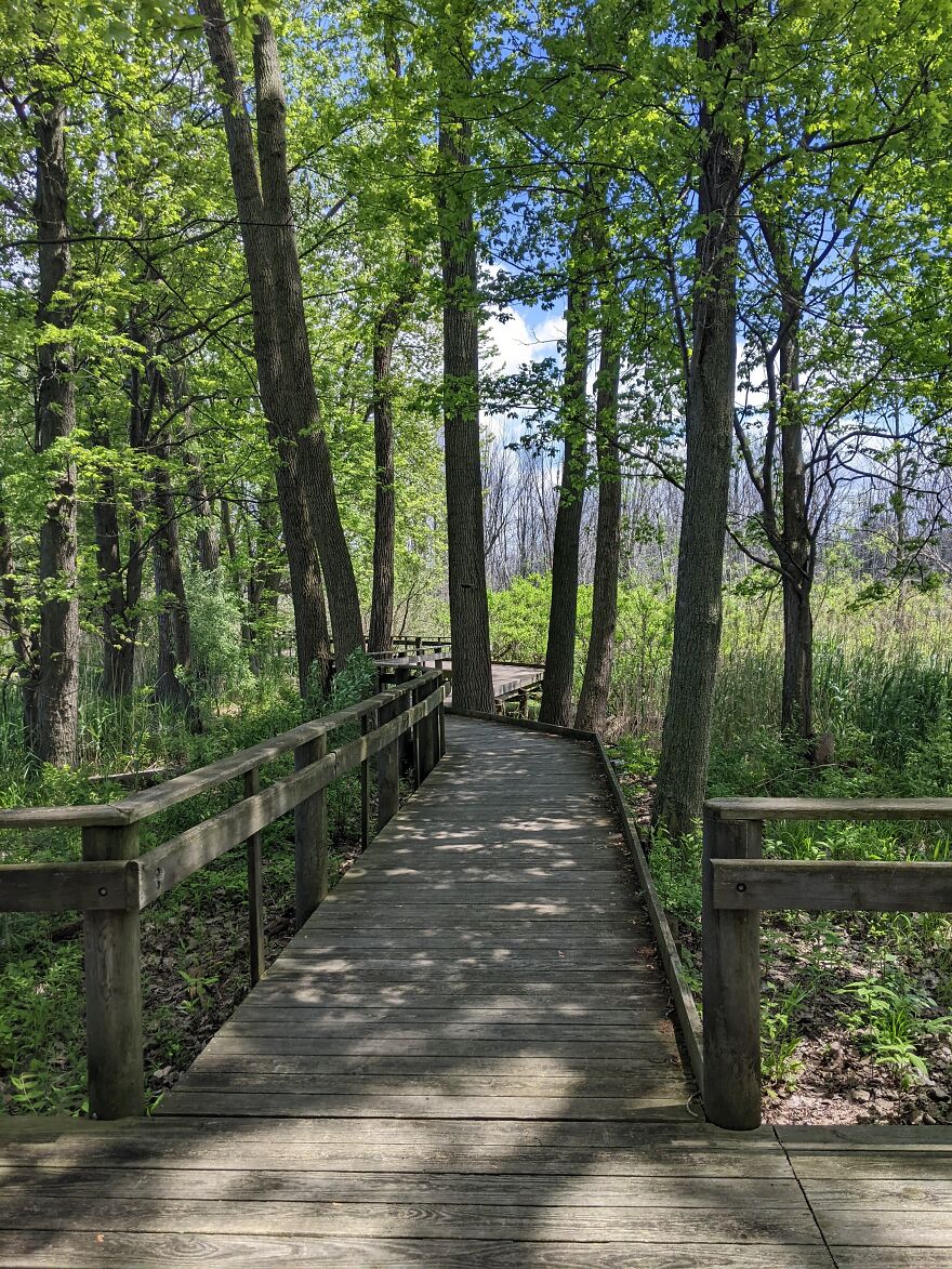 Not The One I Was Looking For, But This Works