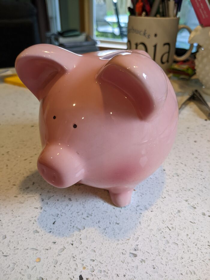 Found This Little Cutie Today 😍