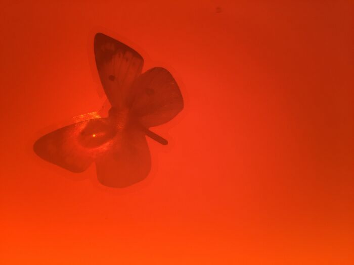 Like I Don’t Even Now!