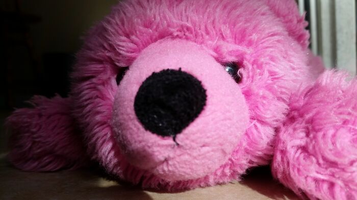 This Pink Bear From When I Was Little