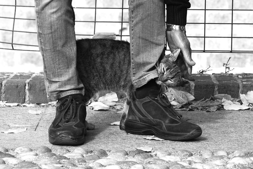 But We Need Also Love