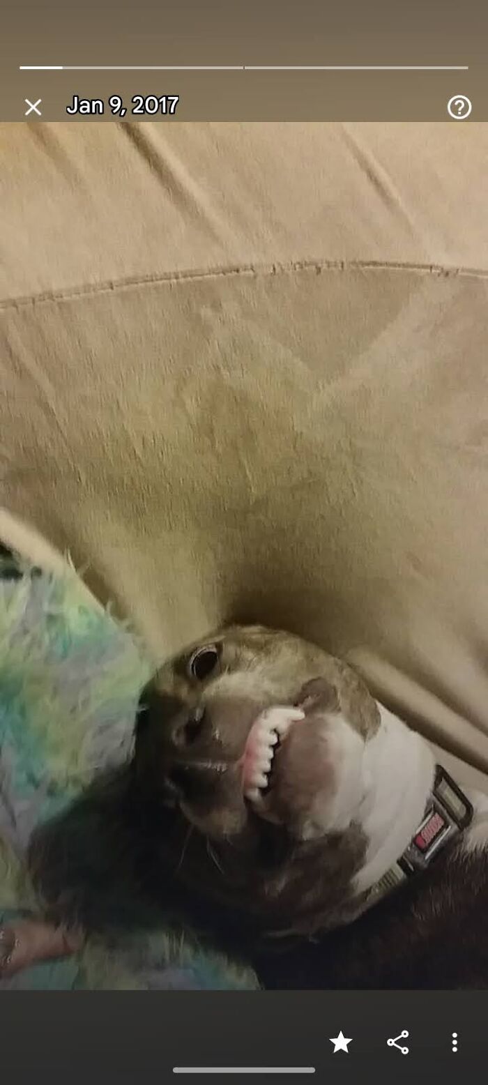 What A Cheesy Grin 😂