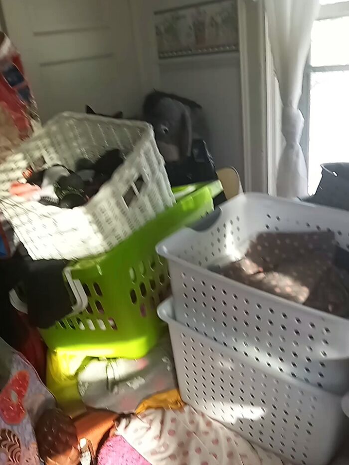 Best View I've Ever Gotten Of My Grandmother's Cat