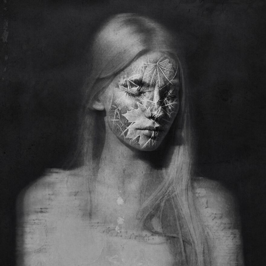 The Chill Of Frozen Leaves