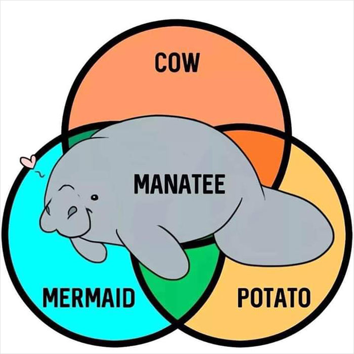 Venn-Diagram-Meme