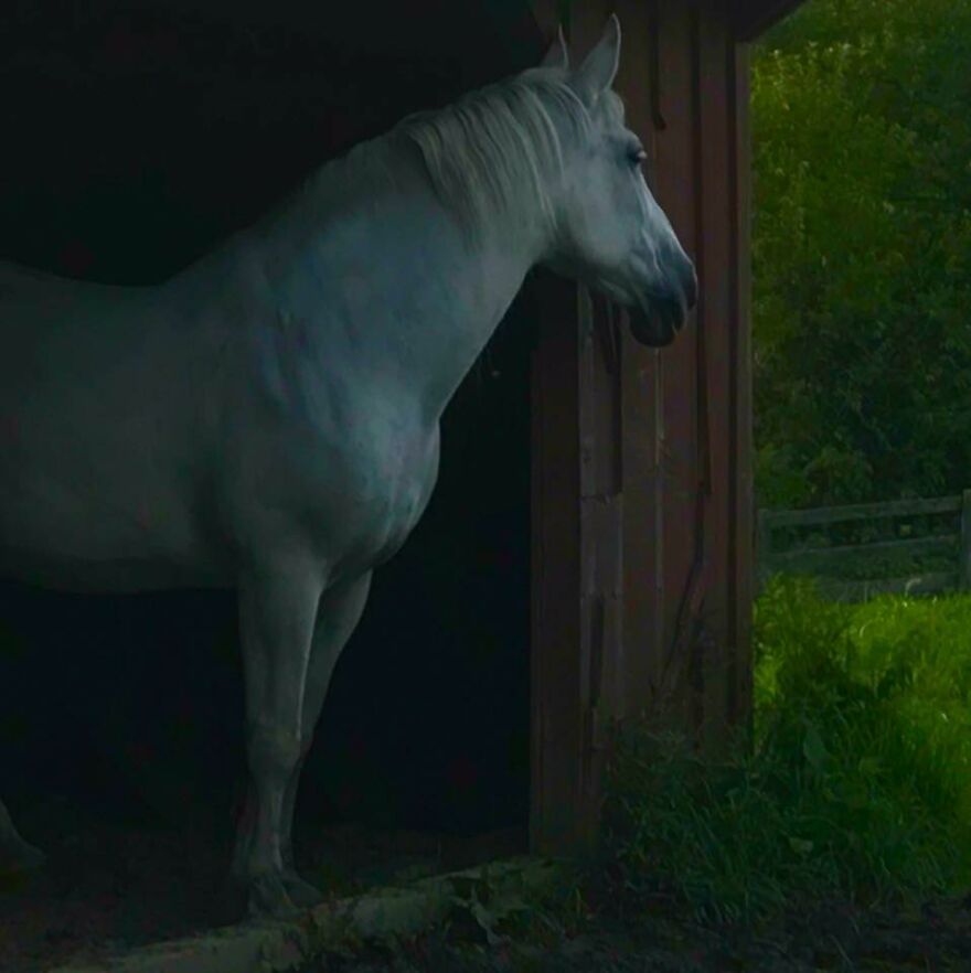 Waiting For Breakfast