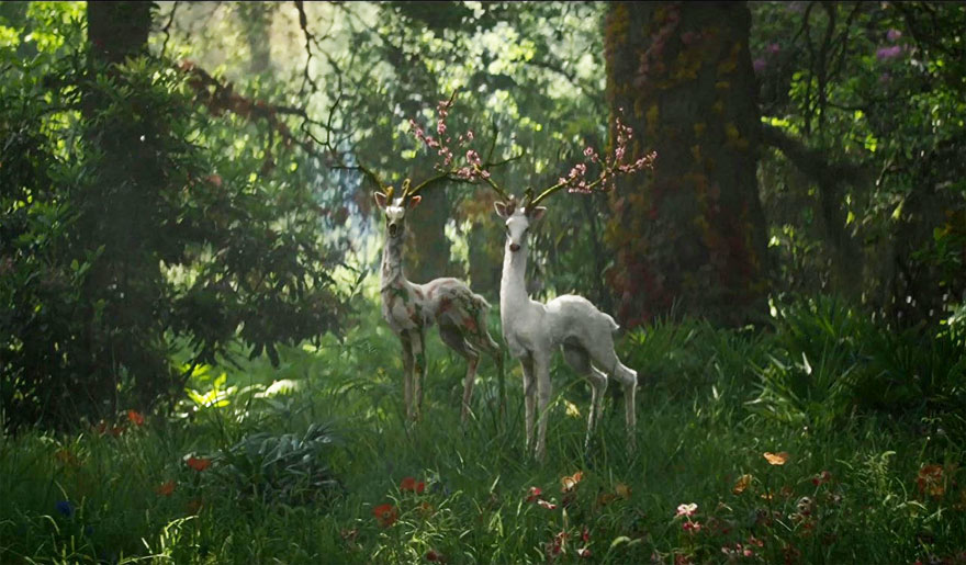Two deer in a forest