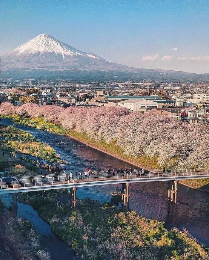 Cool, Mount Fuji, Japan