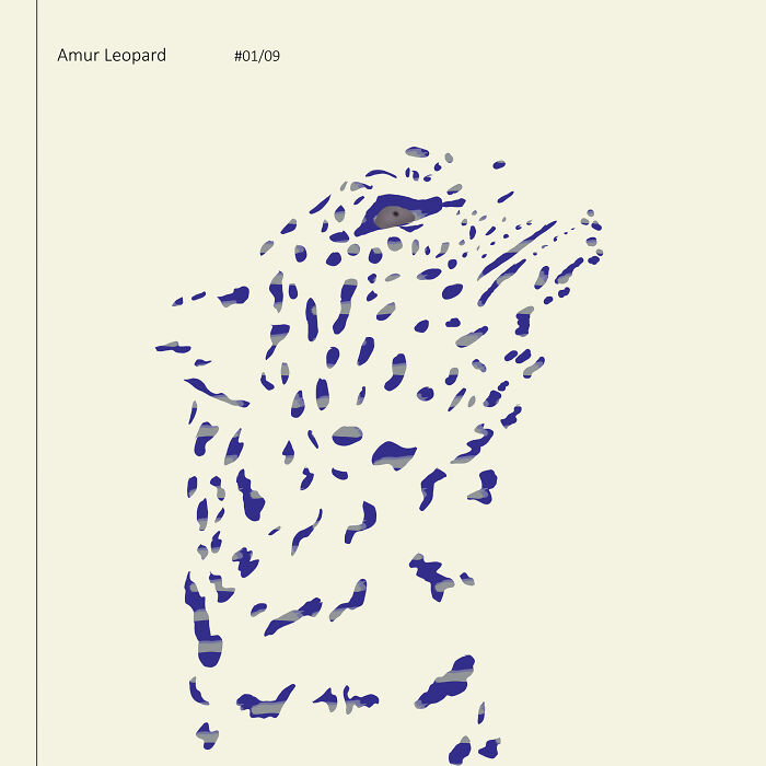 I Drew 9 Spotted Amur Leopards