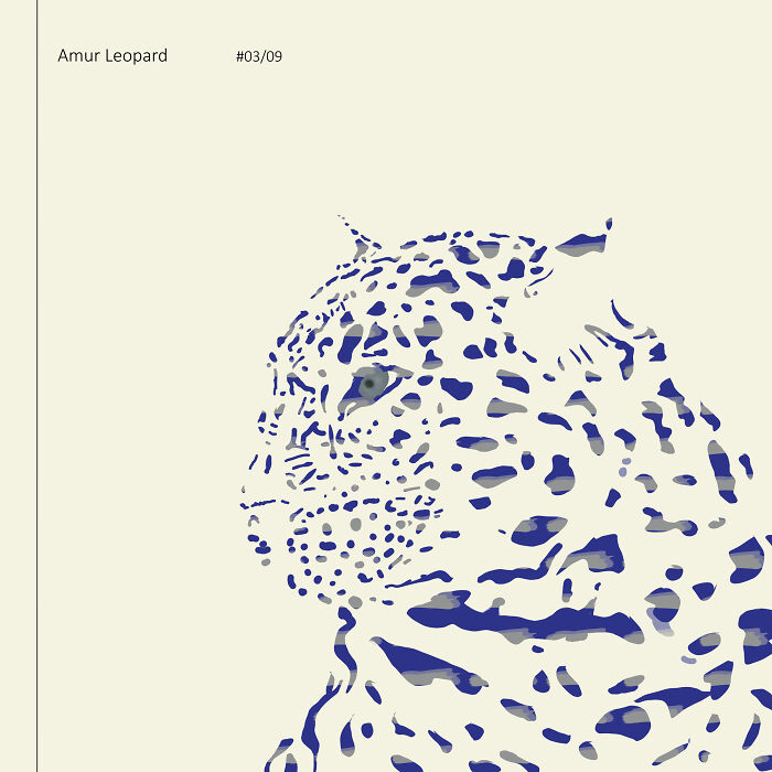 I Drew 9 Spotted Amur Leopards