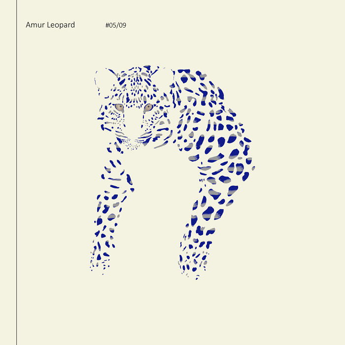 I Drew 9 Spotted Amur Leopards
