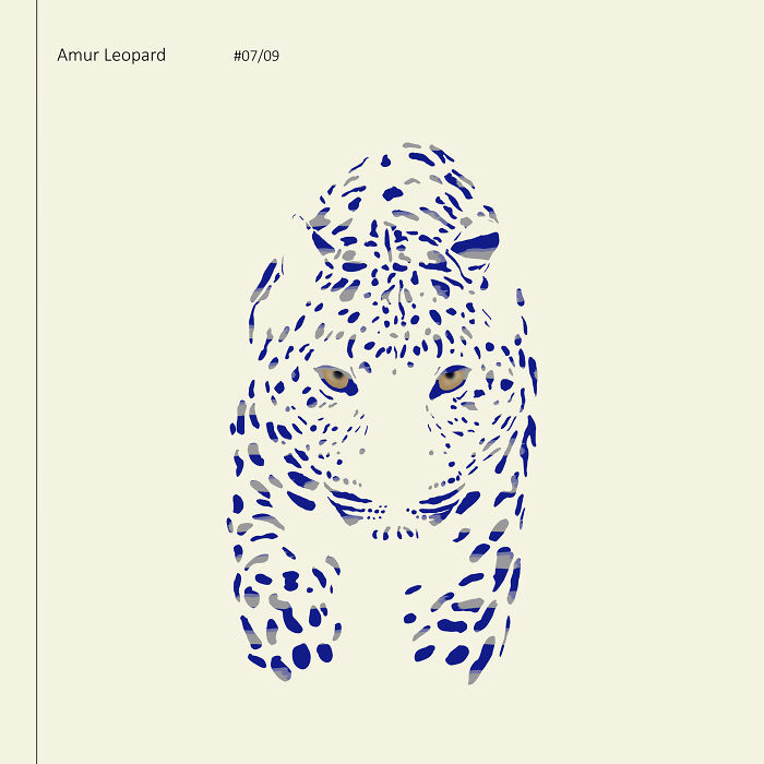 I Drew 9 Spotted Amur Leopards
