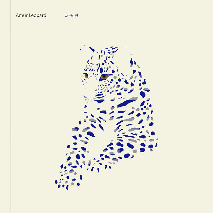 I Drew 9 Spotted Amur Leopards