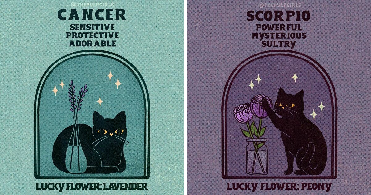 Lucky Black Cat Tarot