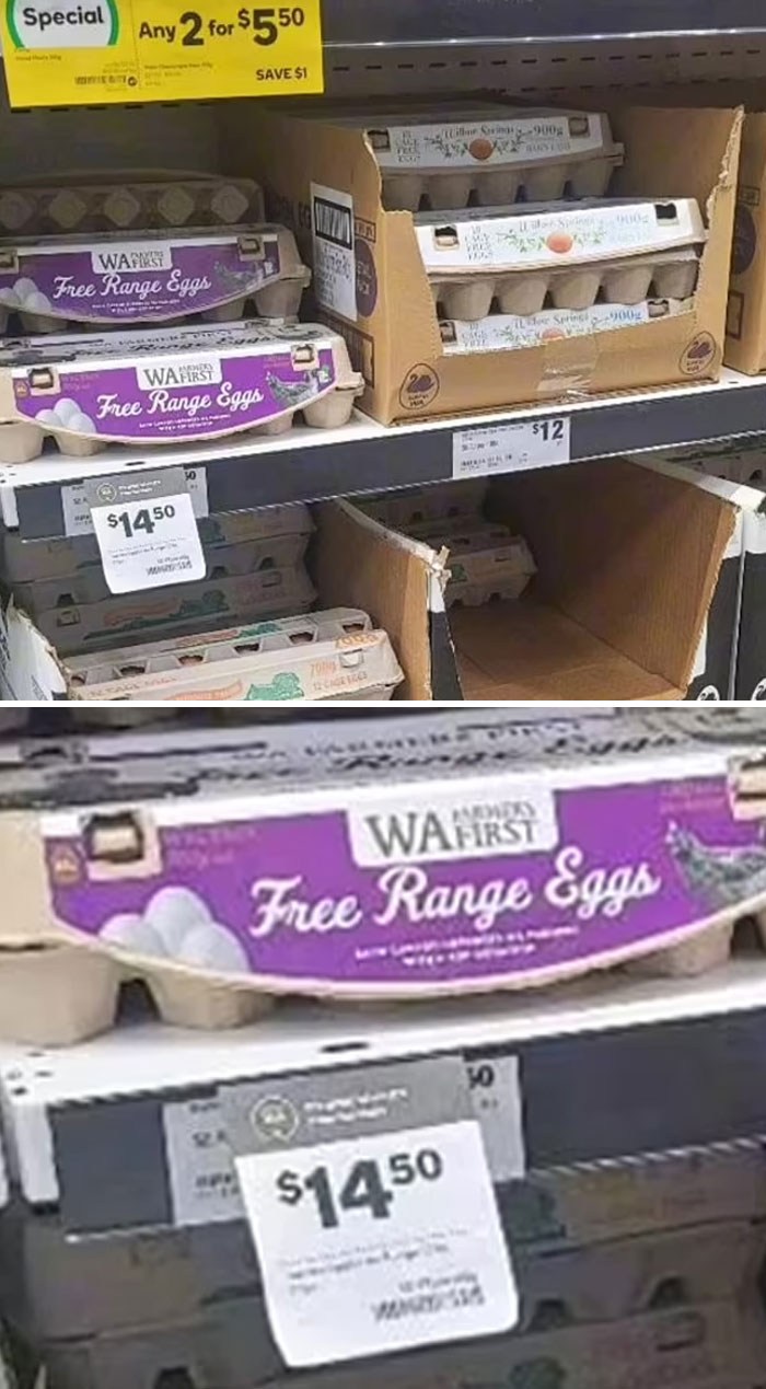 Time To Get Chickens? $14 For Eggs. Last Week There Was None Now The Inflation Hits