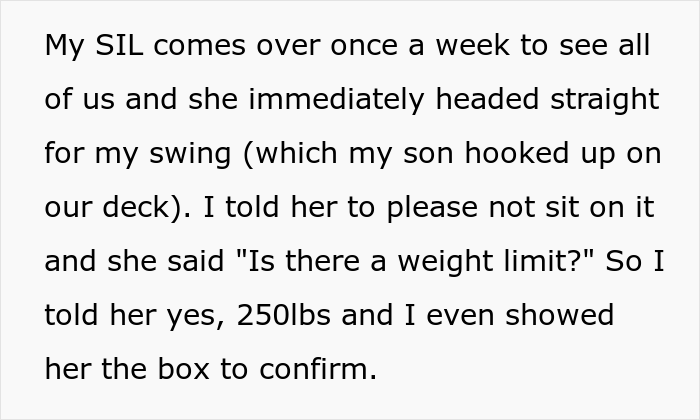 420ish Lbs Sister-In-Law Destroys Beloved Garden Swing After Being Asked Not To Sit In It Because Of Its Weight Limit, Family Drama Ensues