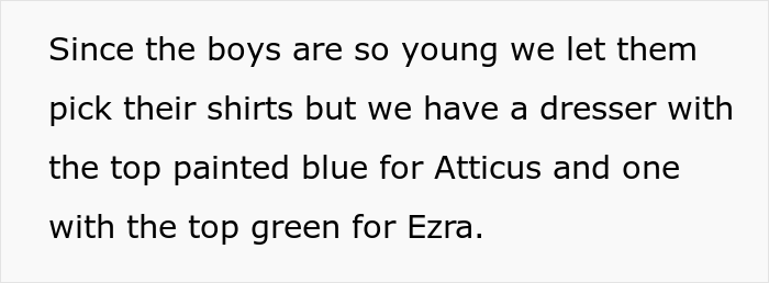 Mom dresses twins in blue and green so they don't mix them up, but relative gets furious when she finds out