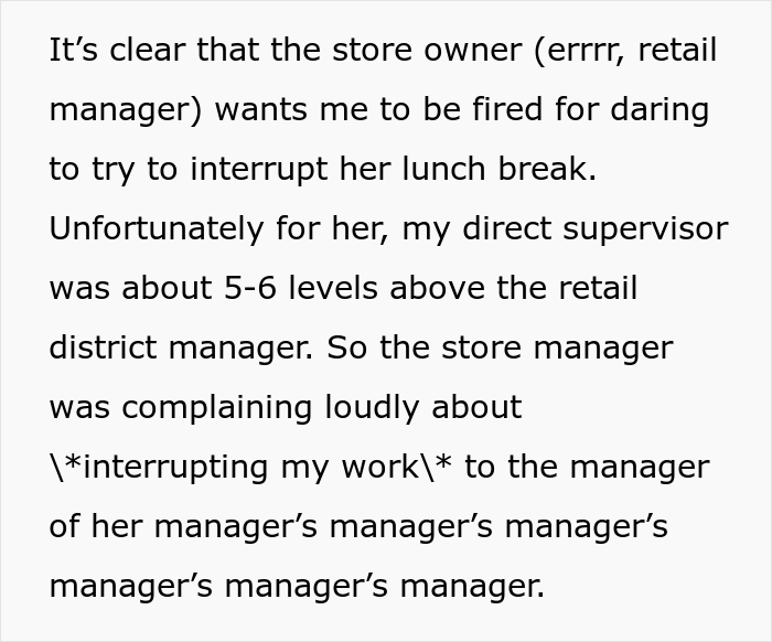 Store Manager Thinks The IT Guy Has No Right To Disrupt Her Lunch Break, Calls His Boss To Report On Him, Gets Fired Herself Instead Store Manager Thinks The IT Guy Has No Right To Disrupt Her Lunch Break, Calls His Boss To Report On Him, Gets Fired Herself Instead