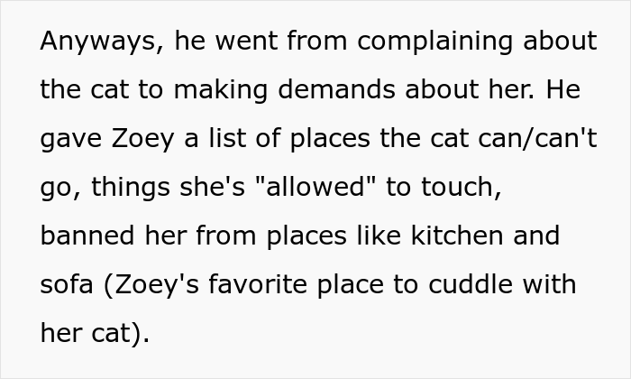 Man Lets Out An Indoor Cat He Hates "Probably Hoping For Her To Get Lost", Fiancée Goes Off At Him In Front Of His Whole Family