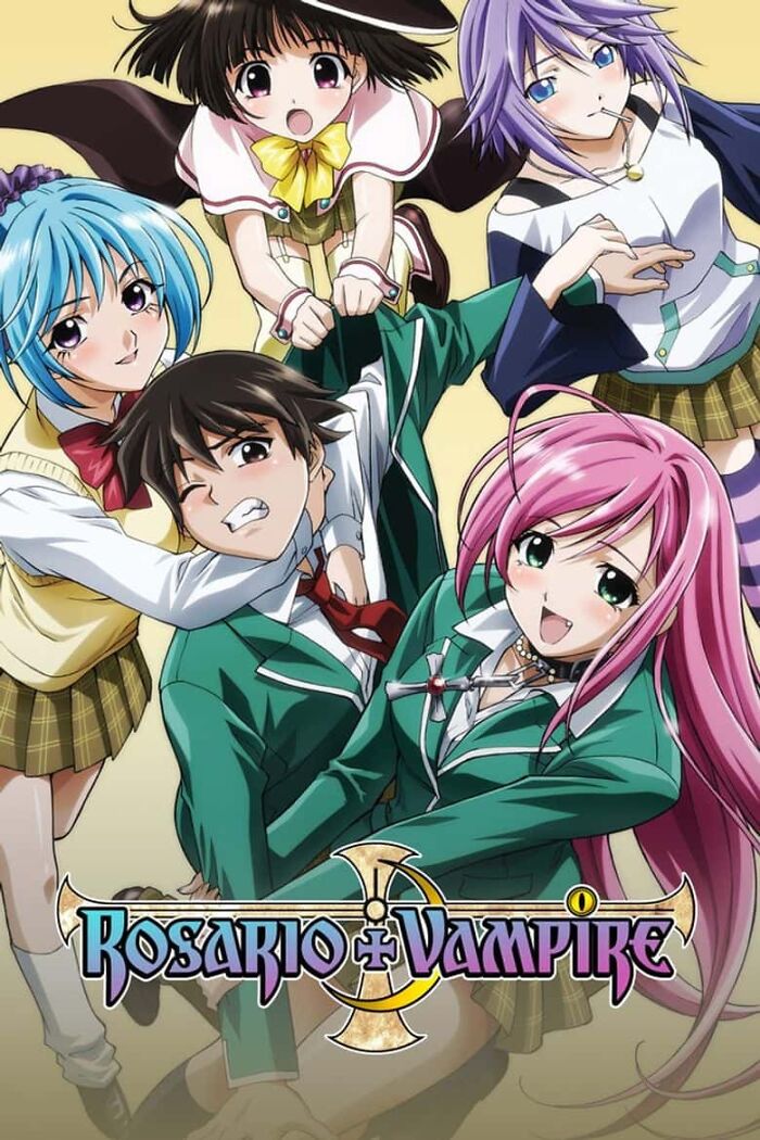 Anime poster for "Rosario + Vampire"
