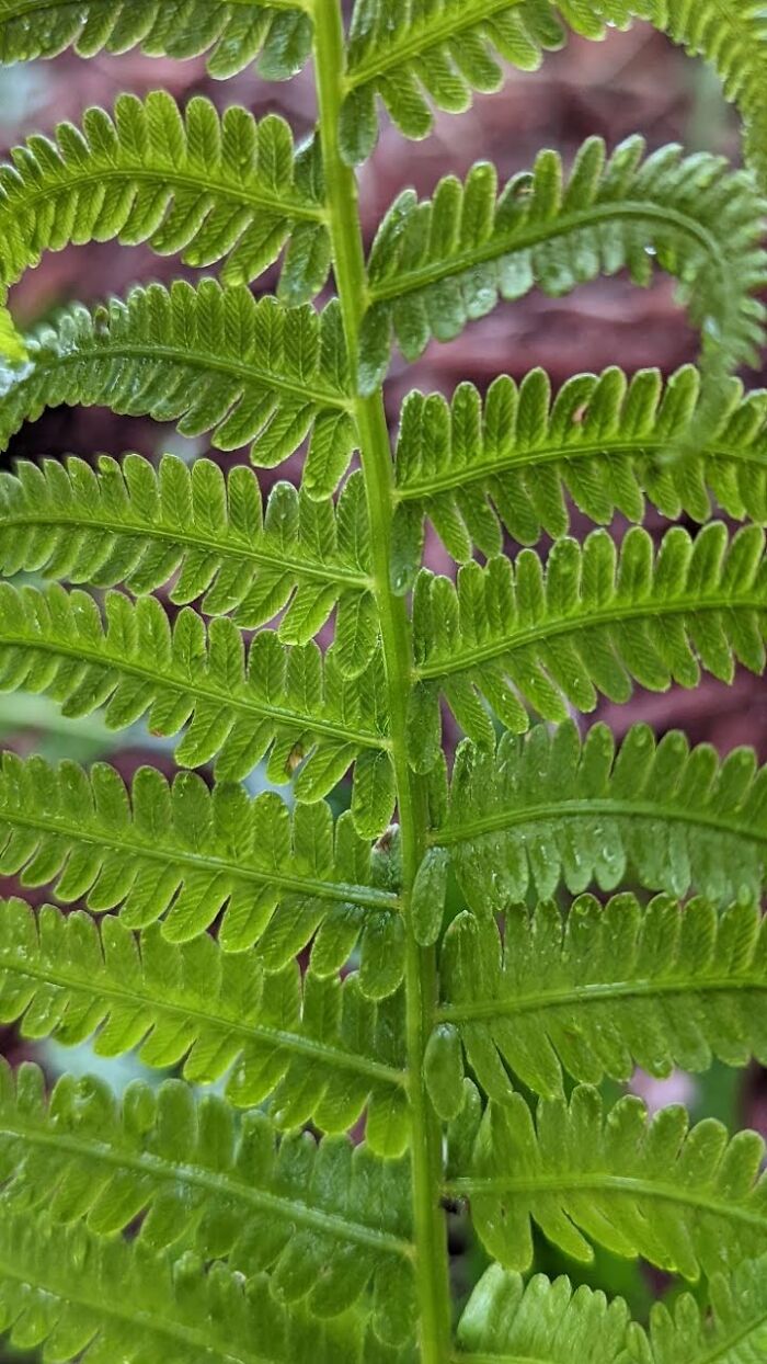 Some Amateur Photography