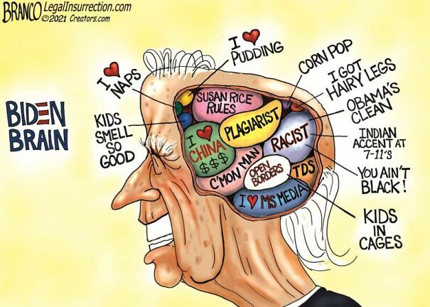 biden-brain-629a794be6849.jpg