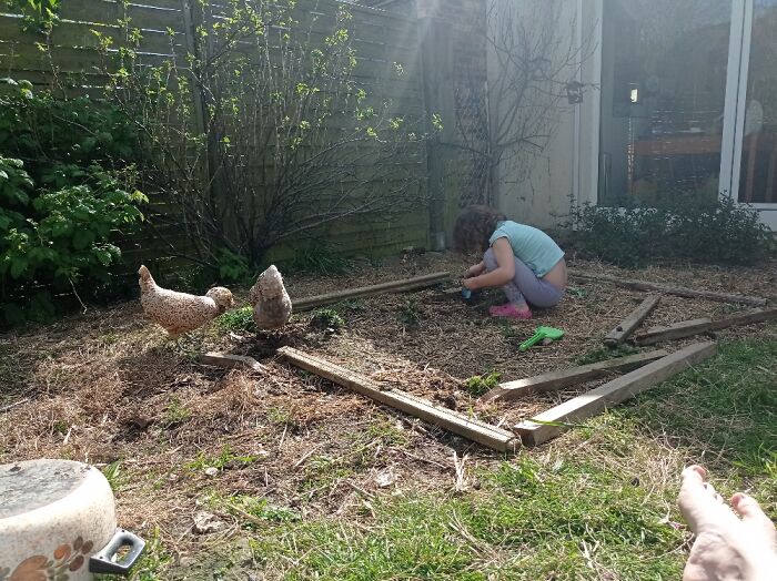 My Child And My Chickens