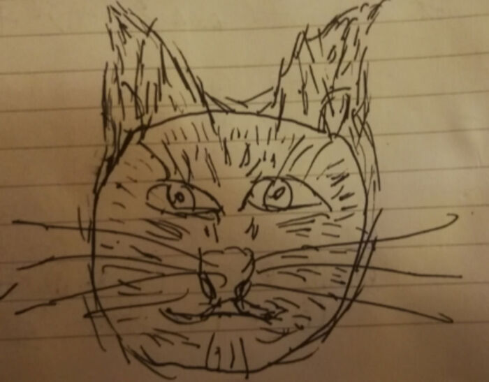 Cat/Lynx (Drawing With Non Dominant Left Hand)