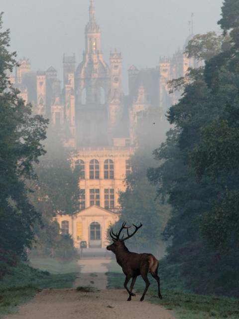 chambord2-62bd4d9bb8f4a.jpg