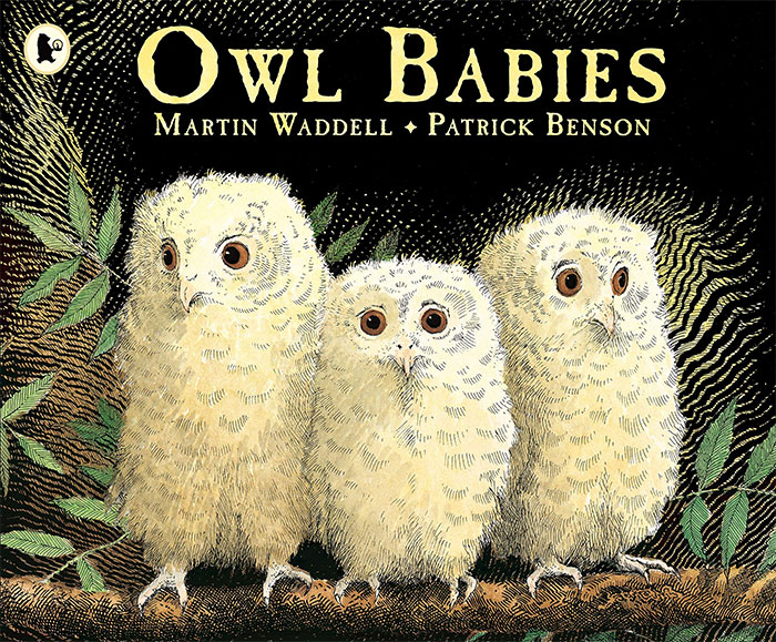 Book cover of Owl Babies by Martin Waddell