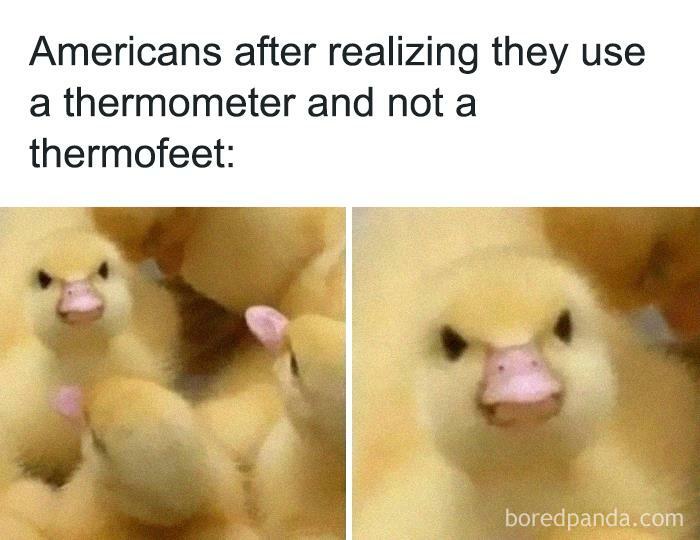 Funny-Very-American-Pics