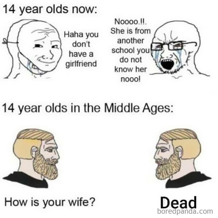 50 Of The Funniest And Most Accurate History Memes That People Shared