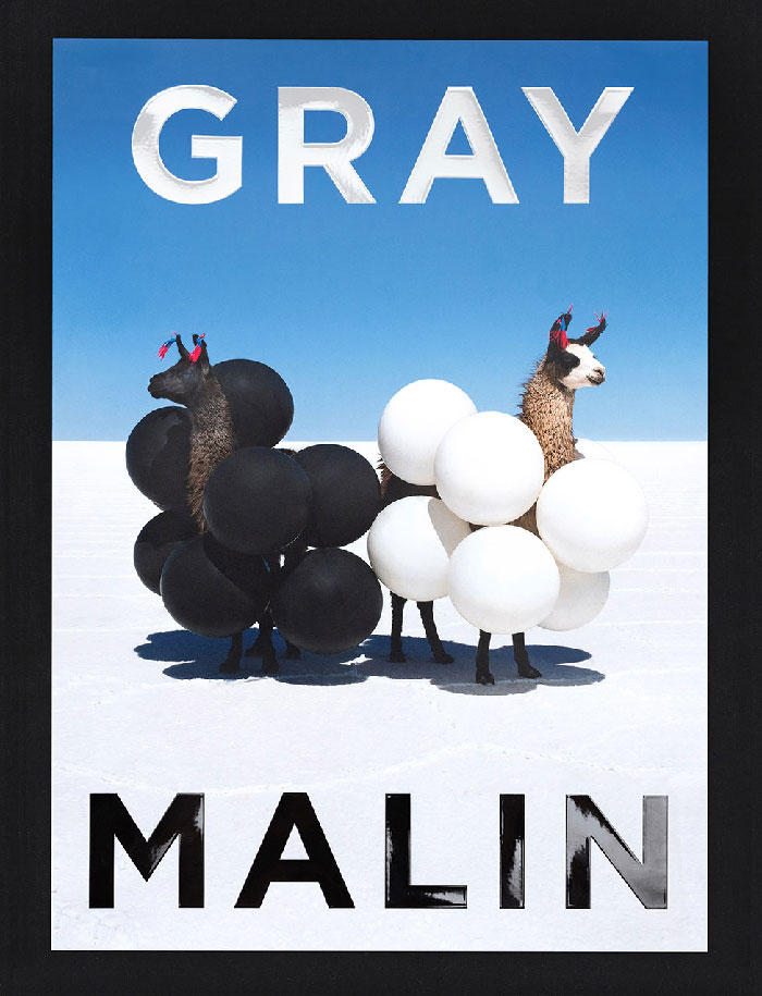 Book cover for "Gray Malin: The Essential Collection"