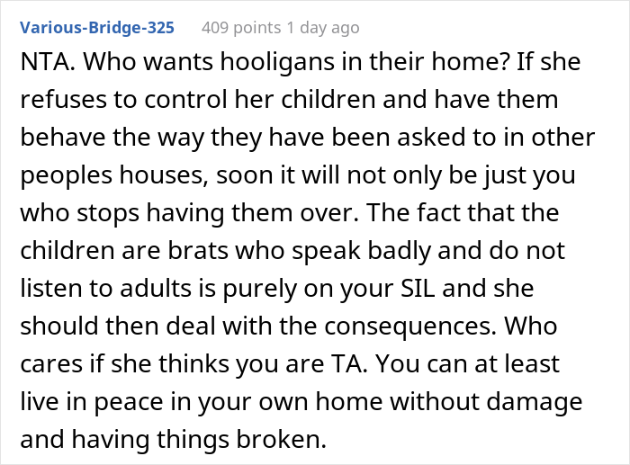 Sister-In-Law Livid She And Her 3 Kids Are Banned From Brother’s House Due To Her Ill-Behaved Kids Sister-In-Law Livid She And Her 3 Kids Are Banned From Brother’s House Due To Her Ill-Behaved Kids