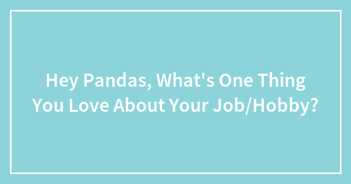 Hey Pandas, What’s One Thing You Love About Your Job/Hobby? (Closed)