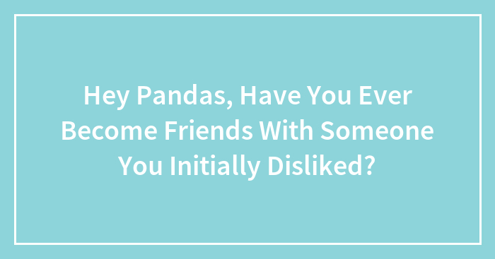 Hey Pandas, Have You Ever Become Friends With Someone You Initially Disliked? (Closed)