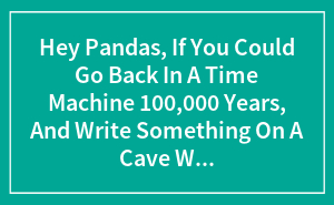 Hey Pandas, If You Could Go Back In A Time Machine 100,000 Years, And Write Something On A Cave Wall For A Archaeologist To Find, What Would You Write? (Closed)