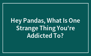 Hey Pandas, What Is One Strange Thing You're Addicted To?